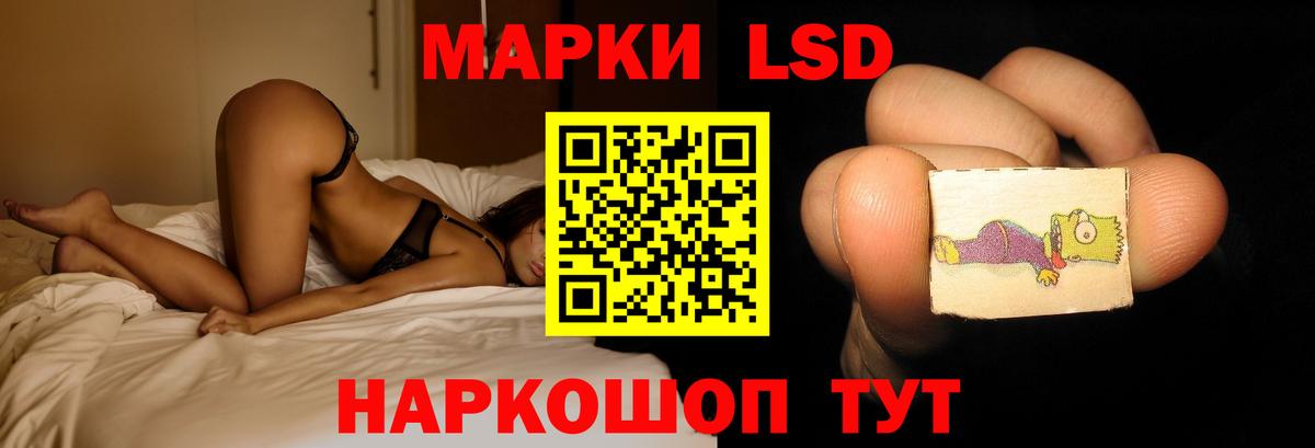 Псилоцибиновые грибы Россия