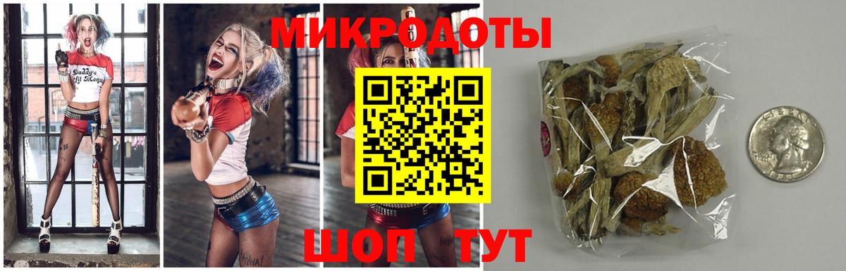 Россия  Галлюциногенные грибы Magic Shrooms  Вход с VPN 